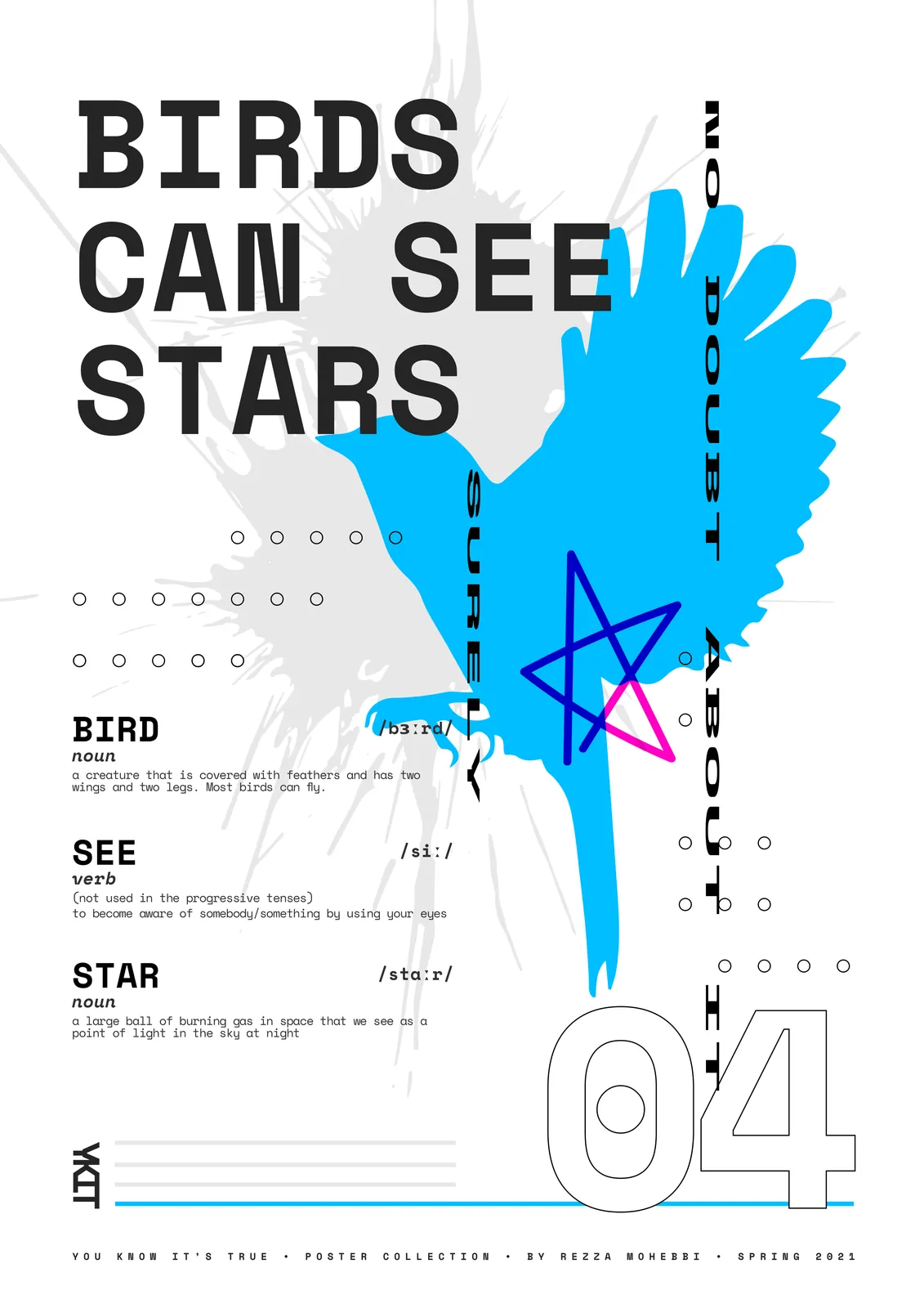 A poster from the series You Know It's True!: Birds Can See Stars in black type on white, with a bright blue bird and a hand-drawn star.