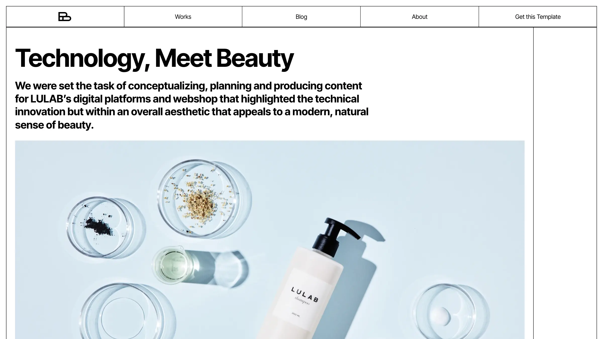 A project page: the title and summary above a large product photograph.