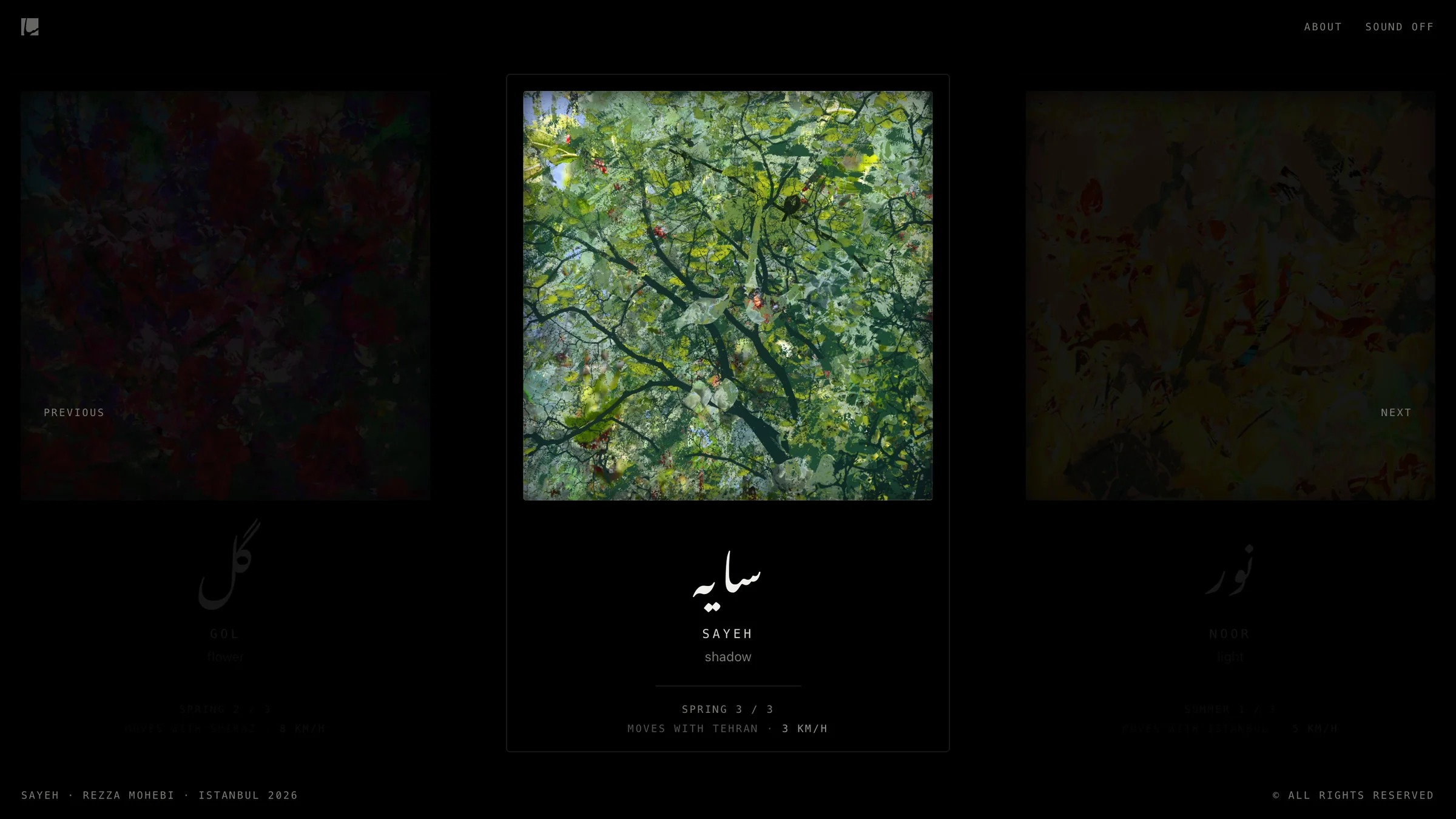 Sayeh, shadow: green leaves and dark branches, the piece that almost stops on a calm night.